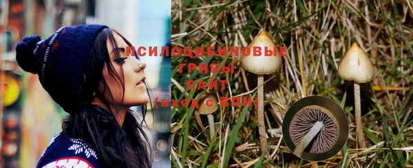 бутират Нея