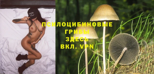 метадон Заполярный